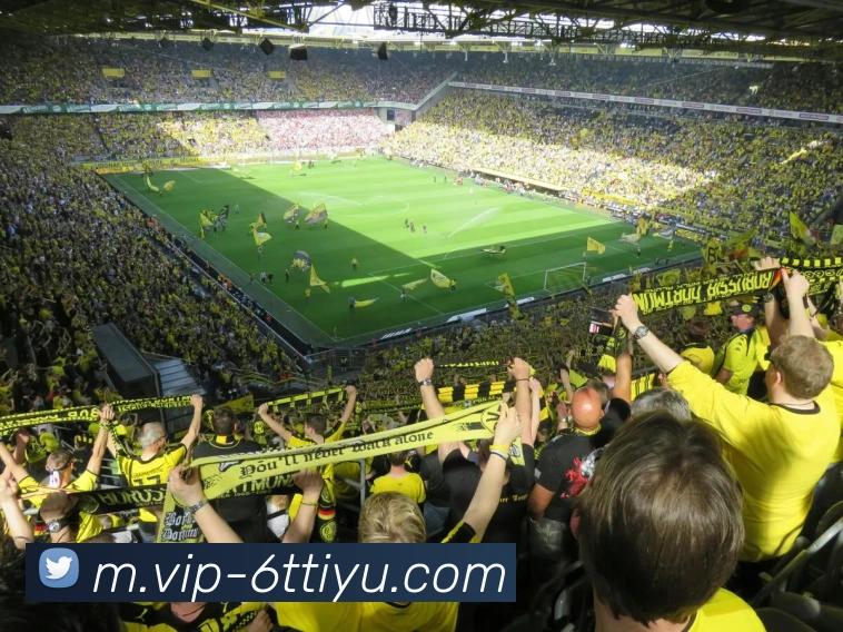 6T体育品牌故事