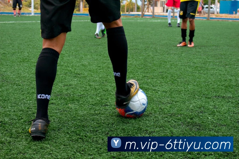 6T体育服务体系