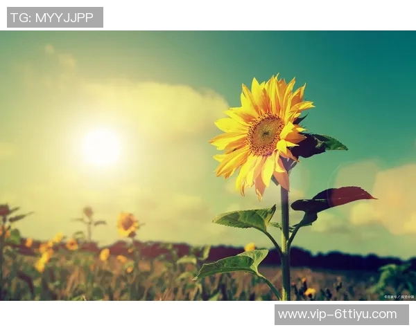 亚马尔分享休闲生活照积极调整心态迎接新挑战